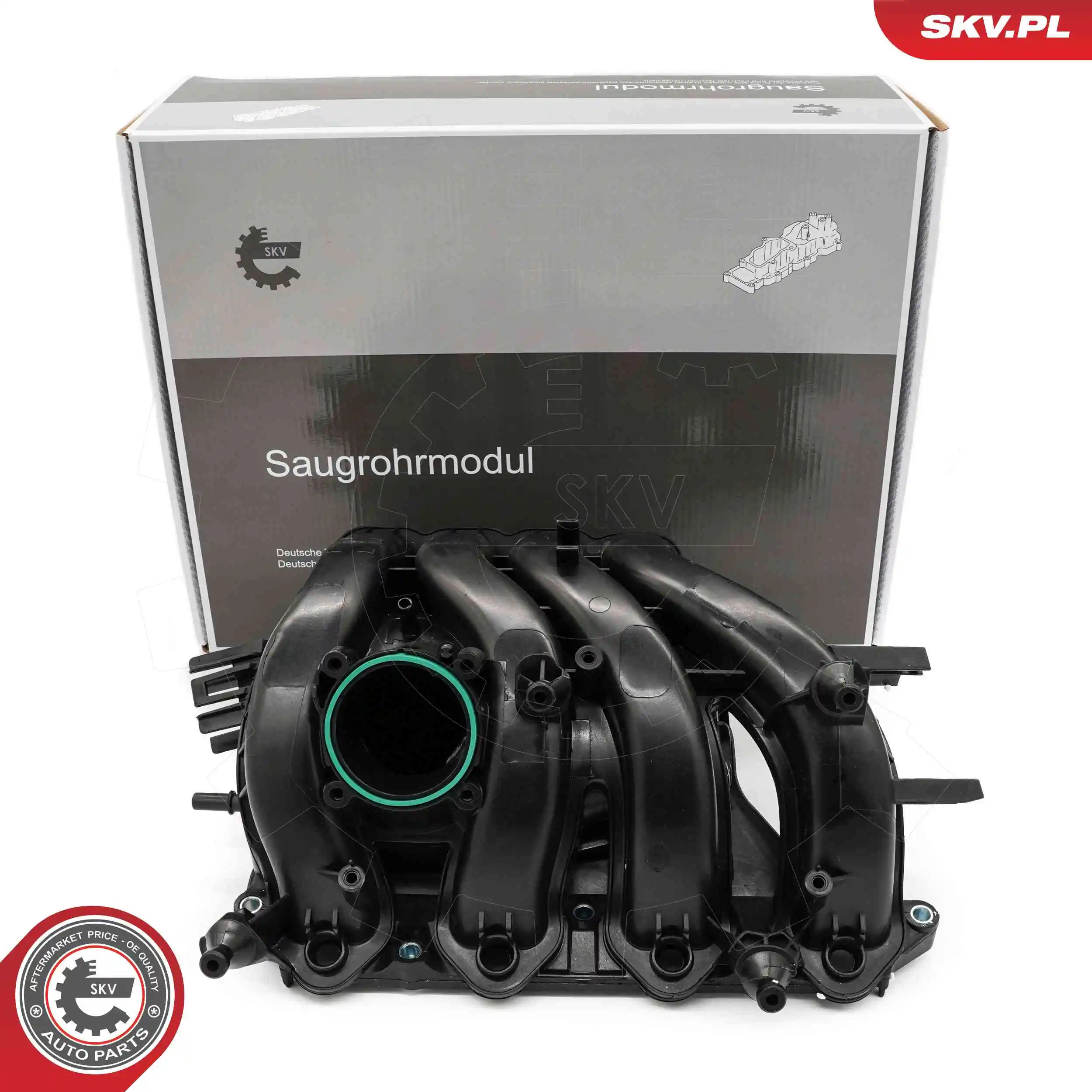Intake Manifold Module